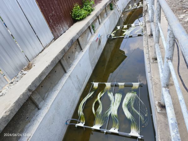 Oxygen Membrane for River Treatment