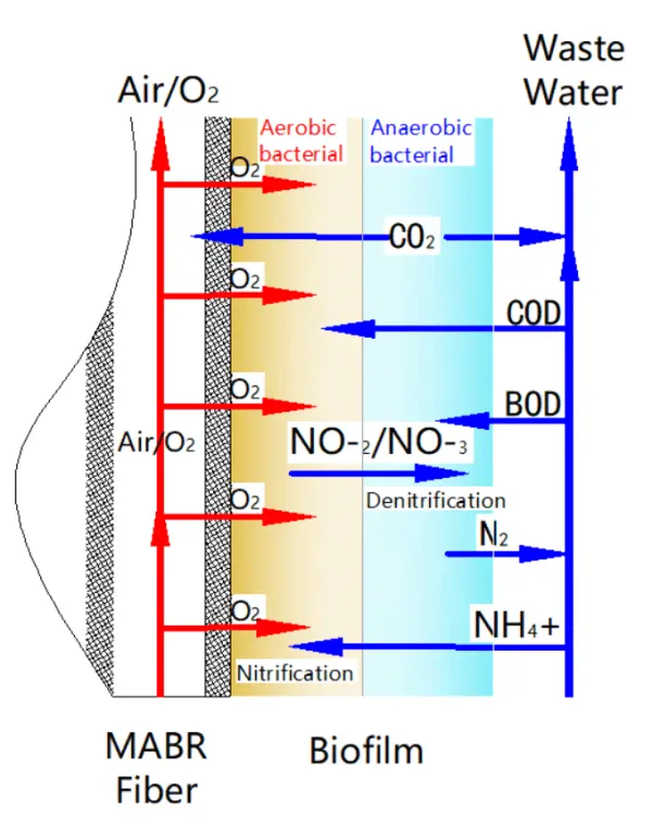 Diagram of MABR Technology
